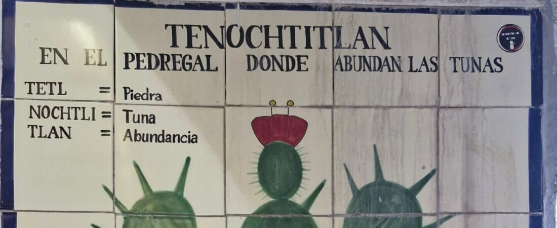 Conoce la fruta que representa a México Tuna del Nopal (Opuntia Ficus-Indica)