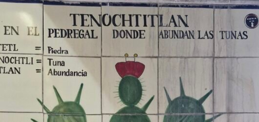 Conoce la fruta que representa a México Tuna del Nopal (Opuntia Ficus-Indica)